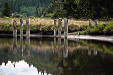 reflecting nature on the beach 