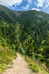 Obraz premium Mountain path in the national park Krkonose 