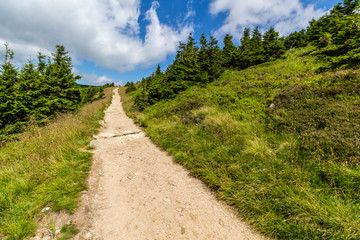 Fototapeta na wymiar Mountain path in the national park Krkonose 