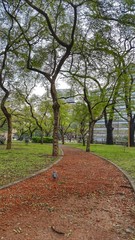 Plaza de buenos aires