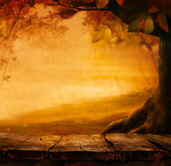 Autumn background