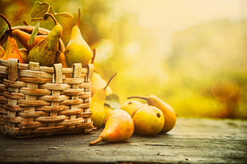 Autumn pears