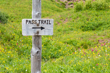 Sign for the Pass Trail against wildflowers in Colorado