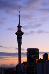 Fototapeta na wymiar Auckland Sky tower on sunrise