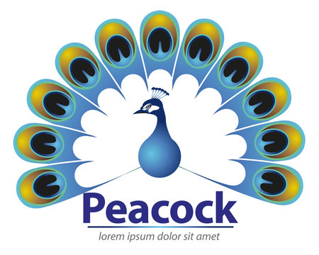 Abstract vector Peacock, for corporate identity