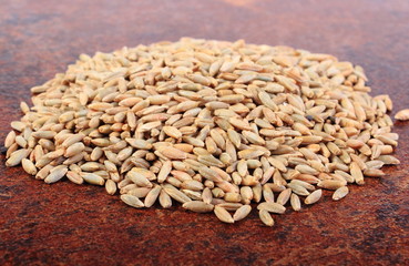 Heap of organic rye grain
