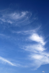 Fototapeta premium Blue sky background with light cloud
