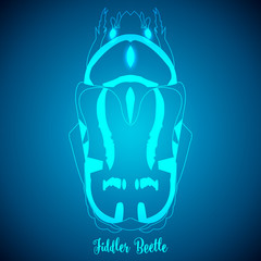 Fiddler Beetle and abstract backgrounds blue lights.vector illus