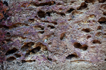 The texture of old cement