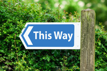 Direction Arrow, Sign To This Way in Blue Color