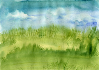 meadow grass and blue sky