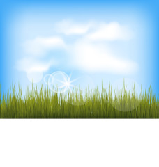 Fototapeta na wymiar Summer background with green grass, blue sky, clouds