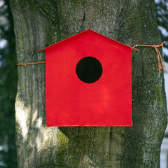 red birdhouse against beech tree
