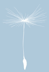 single dandelion seed white silhouette isolated on blue