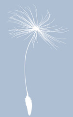 single dandelion seed white silhouette on blue