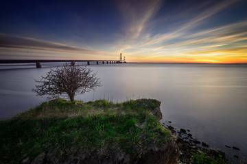 Photo of the Danish Great Belt Bridge with a little tree in the