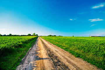 Green Field