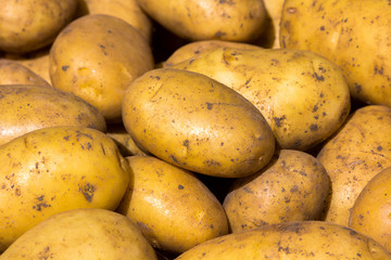Solanum tuberosum background with potatoes