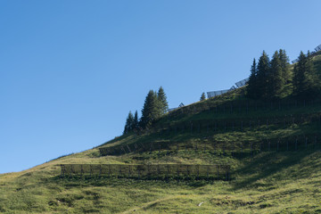 Obraz premium Avalanche barrier, Lawinenschutz