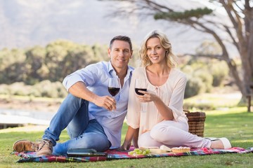 Smiling couple sitting on picnic blanket and drinking wine