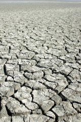 Dry Soil