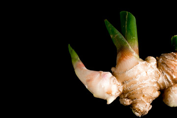 Galangal isolated on black background