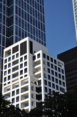 Obraz premium Hochhäuser in Frankfurt