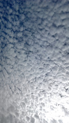 Nubes borreguito