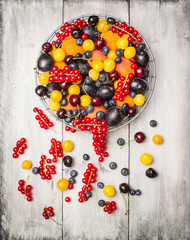 fresh red currants, plums, blackberries,cherry, blueberries, apricots in a basket on a white background , top view