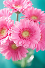 beautiful pink gerbera flowers bouquet in vase