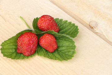 The ripe berries of strawberry lying on a support from a tree in a garden

