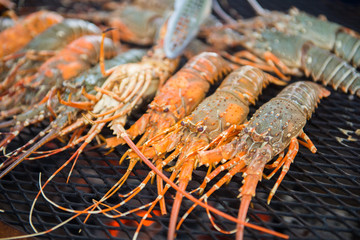 grilled  lobster on stove barbecue