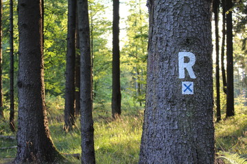 Rennsteig