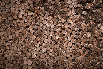 decorative cross section view  cutting wood