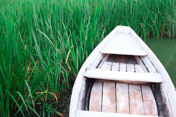 Nose of a white boat in green reeds