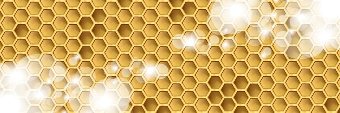 Bienenwabe | Hintergrund