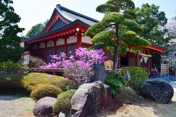 Obraz premium 千勝神社（茨城県つくば市）／茨城県つくば市にある千勝神社を撮影した写真です。千勝神社は由緒ある神社で、遠近より大神様の御神徳を仰ぐ崇敬者が絶えません。木造の鳥居では、関東で三本指に数えられる大鳥居です。