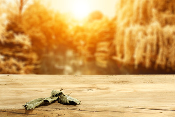 wooden table and autumn day 