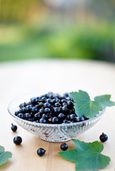 Ripe black currant berries in glass bowl
