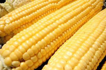 Corn