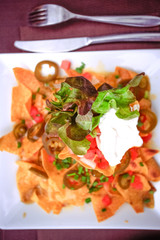 Plate with taco, salad - mexican food
