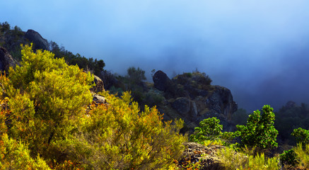 Fototapeta premium Fog at mountains