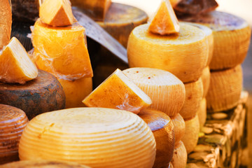 Different sorts of italian cheeses
