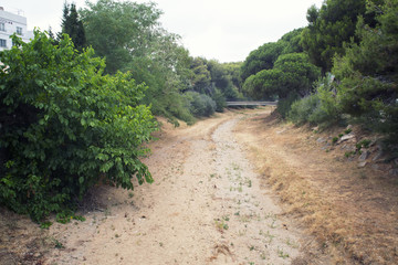 Parched river on a town