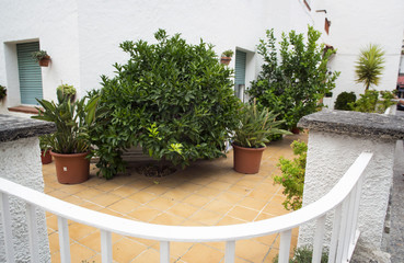 Fototapeta na wymiar Flowers in pots on a balcony