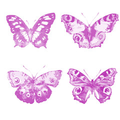 butterflies design