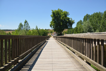 Fototapeta premium puente de madera en el camino de santiago