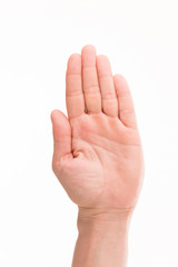 Obraz premium Man's palm