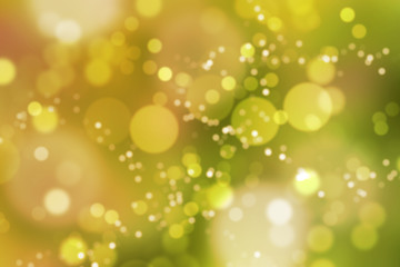 Natural forest bokeh