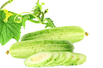 cucumber with slice